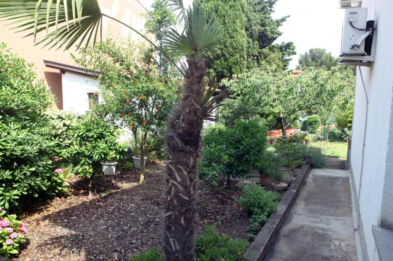 Apartament Maravea - New ❷⓿❷❸ Izola Zewnętrze zdjęcie
